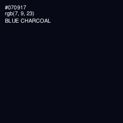 #070917 - Blue Charcoal Color Image